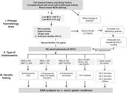 diagnostic thalassémie