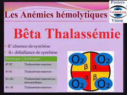 la beta thalassémie