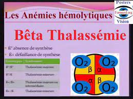 s beta thalassémie