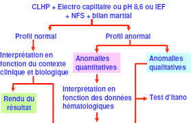 électrophorèse de l hémoglobine thalassémie