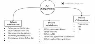 'anémie héréditaire