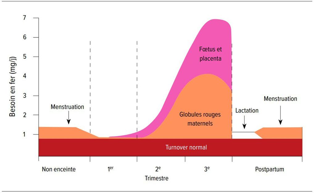 thalassémie et ferritine basse
