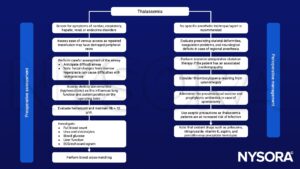 thalassemie hemoglobine