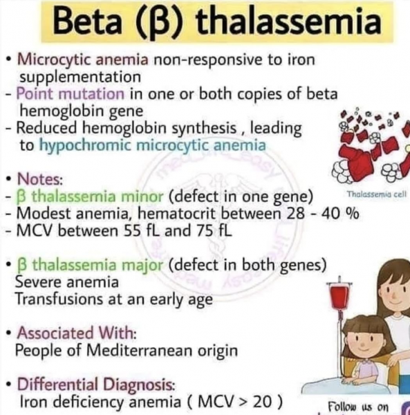 thalassémie microcytose