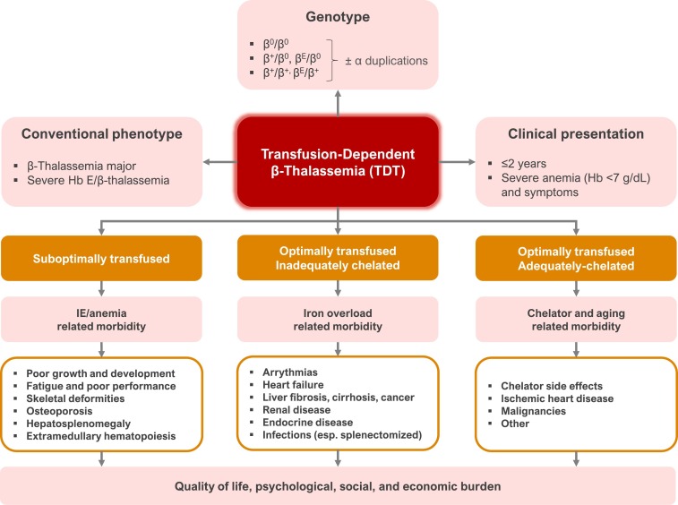 transfusion in thalassemia