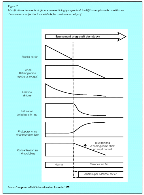 anémies héréditaires