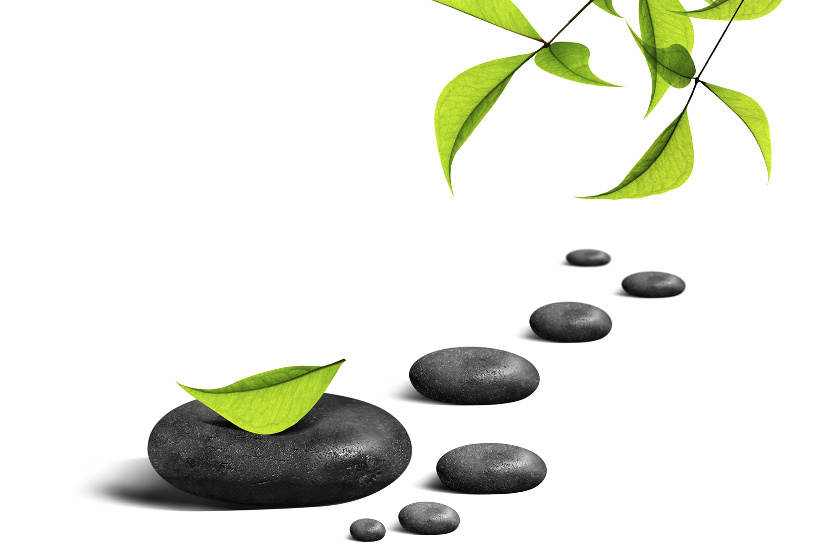 bien être des patients