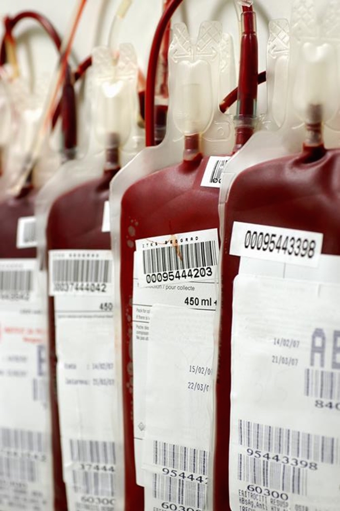 donateurs de sang