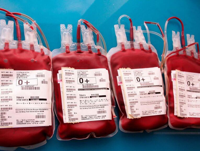 thalassémie transfusion